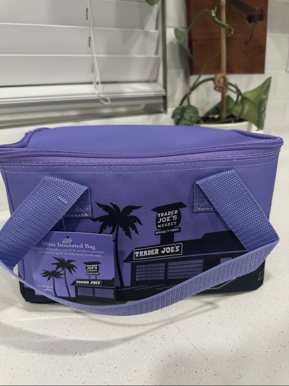 Trader Joe's Purple Mini Insulated Toiletry / Lunch Bag